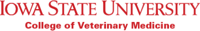 My Organization